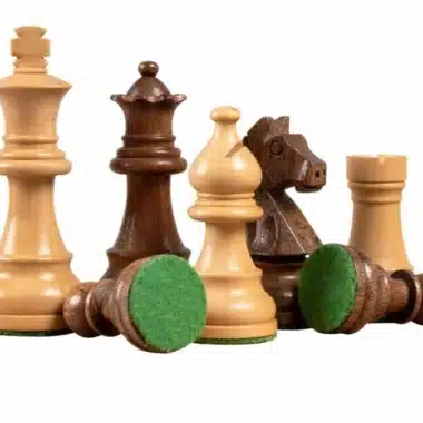 Pièces d'échecs posées montrant la base en feutrine verte