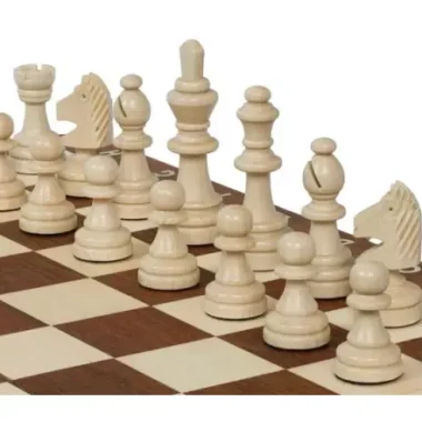 Pièces d'échecs claires en gros plan alignées face aux pièces foncées